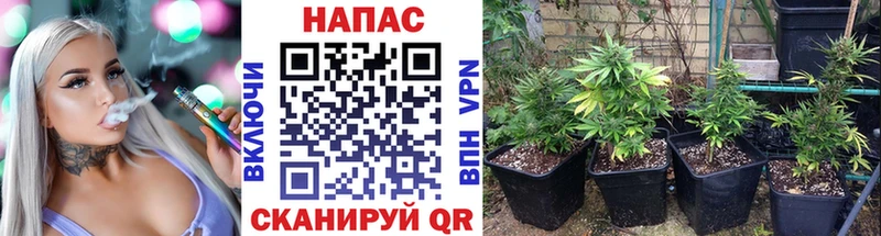 Наркота Нерехта omg tor Cocaine КЕТАМИН ГАШИШ Канабис