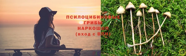 соль курить ск Алексин