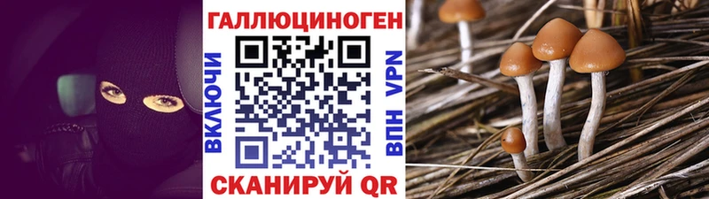 Псилоцибиновые грибы мицелий  Нерехта 